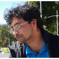 Nelson Castro Flores