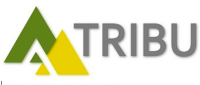 Tribu Consultores Ltda