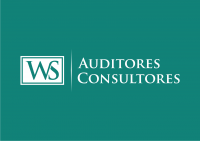 WS Auditores Consultores
